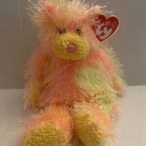 Ty Punkies 2002 Collection Rainbow Bear